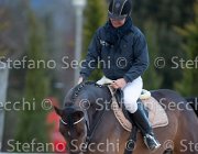 Indorami Tosc Tour2013- S5 1740 : Arezzo, Cavalli d'Italia, Indorami di Villa Giove, Toscana Tour 2013, foto di Stefano Secchi ©